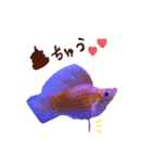 お魚さんたちの日常2（個別スタンプ：40）