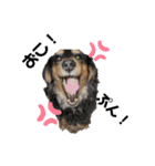 みろまろすたんぷ ぷらすあるふぁ（個別スタンプ：9）
