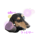 みろまろすたんぷ ぷらすあるふぁ（個別スタンプ：11）
