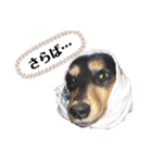 みろまろすたんぷ ぷらすあるふぁ（個別スタンプ：12）