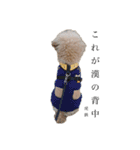 Kotetsux（個別スタンプ：12）