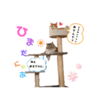 るる＆める姉妹（個別スタンプ：1）