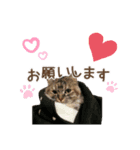 るる＆める姉妹（個別スタンプ：2）
