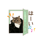 るる＆める姉妹（個別スタンプ：6）