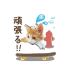 るる＆める姉妹（個別スタンプ：7）