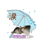 るる＆める姉妹（個別スタンプ：8）