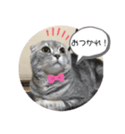 ぶんぶんももっち3（個別スタンプ：2）