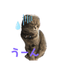 ぶんぶんももっち3（個別スタンプ：6）