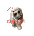 ノエルさんすたんぷ！（個別スタンプ：1）