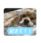 ノエルさんすたんぷ！（個別スタンプ：9）