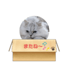 つーちゃんスタンプ2（個別スタンプ：2）
