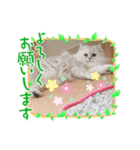 つーちゃんスタンプ2（個別スタンプ：3）