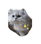 つーちゃんスタンプ2（個別スタンプ：4）