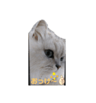 つーちゃんスタンプ2（個別スタンプ：7）