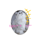 つーちゃんスタンプ2（個別スタンプ：8）