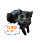 ルル＆アル①（個別スタンプ：4）