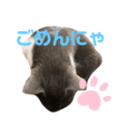 ルル＆アル②（個別スタンプ：4）
