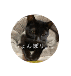 高瀬ききのスタンプ3（個別スタンプ：5）