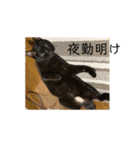 高瀬ききのスタンプ3（個別スタンプ：10）