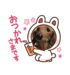 ダックスフンドのカレンちゃん（個別スタンプ：2）