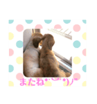 ダックスフンドのカレンちゃん（個別スタンプ：6）