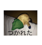 パイナッポロン（個別スタンプ：13）