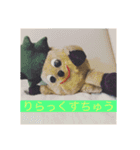 パイナッポロン（個別スタンプ：14）