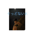 パイナッポロン（個別スタンプ：16）
