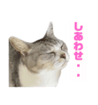 プラス思考なぺぺさん（個別スタンプ：3）