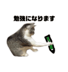 プラス思考なぺぺさん（個別スタンプ：5）