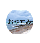 コロナウィルスの言葉（個別スタンプ：8）
