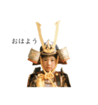 everyday kabuto.（個別スタンプ：1）