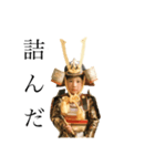 everyday kabuto.（個別スタンプ：23）