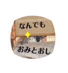 おちゃめなミニシュナ！ vol.2【応用編】（個別スタンプ：25）
