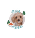 ロイちゃん！（個別スタンプ：1）