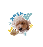 ロイちゃん！（個別スタンプ：3）