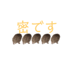 はりねずみで行こう。3（個別スタンプ：16）