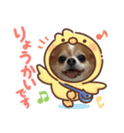 チャロわん3（個別スタンプ：3）