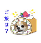 チャロわん3（個別スタンプ：9）