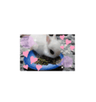 yomerabbit（個別スタンプ：1）