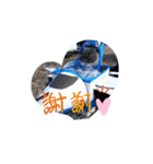 yomerabbit（個別スタンプ：7）