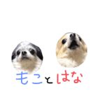 モコときどきハナ（個別スタンプ：4）