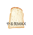 パンの耳（個別スタンプ：8）
