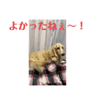 ぼのとむぎ（個別スタンプ：2）