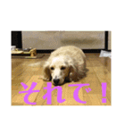 ぼのとむぎ（個別スタンプ：3）