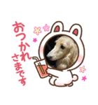 ぼのとむぎ（個別スタンプ：7）