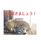ぼのとむぎ（個別スタンプ：10）