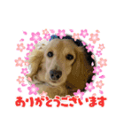 ぼのとむぎ（個別スタンプ：12）