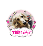 ぼのとむぎ（個別スタンプ：14）
