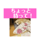 ぼのとむぎ（個別スタンプ：15）